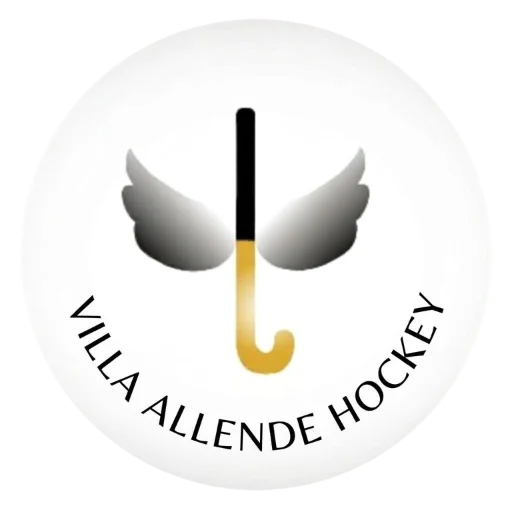VILLA ALLENDE NEGRO